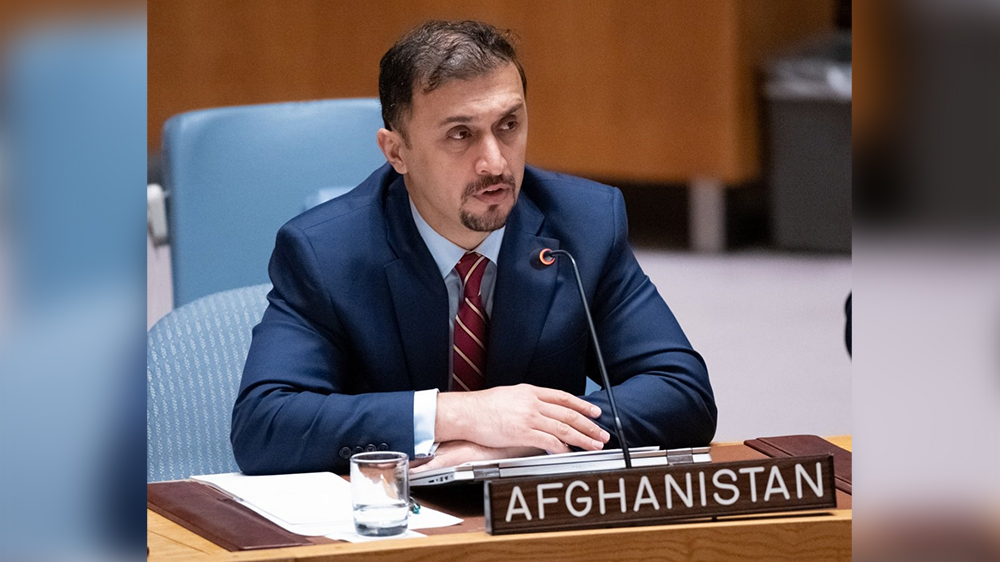 فایق: "هیجوب کییماگانلیک" ایبلووی بیلان هیبسگا ولینگان ایوللار جینسیی زۉراوونلیک قۇربونلاری بۉلیشگان